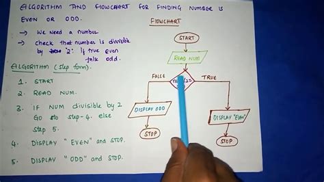 algorithm for even odd.